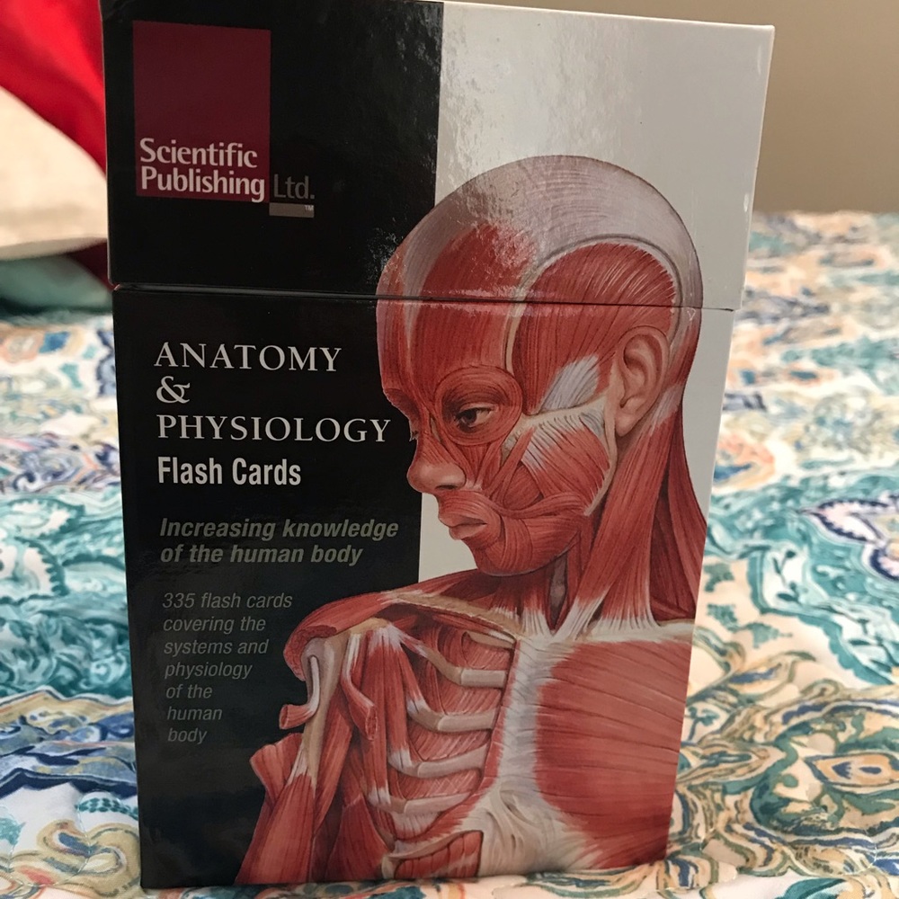 A & P flash cards